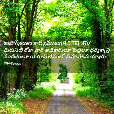 Picture 02 - అపొస్తలుల కార్యములు 4:5 TELIRV - మరుసటి రోజు వారి - Bible Verse Picture