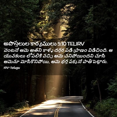 Picture 02 - అపొస్తలుల కార్యములు 5:10 TELIRV - వెంటనే ఆమె అతని - Bible Verse Picture