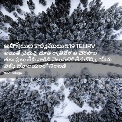 Picture 02 - అపొస్తలుల కార్యములు 5:19 TELIRV - అయితే ప్రభువు దూత - Bible Verse Picture
