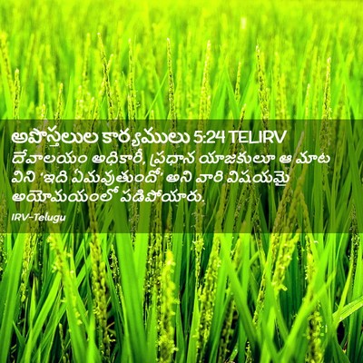 Picture 02 - అపొస్తలుల కార్యములు 5:24 TELIRV - దేవాలయం అధికారీ, - Bible Verse Picture