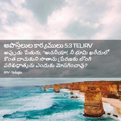 Picture 02 - అపొస్తలుల కార్యములు 5:3 TELIRV - అప్పుడు పేతురు, - Bible Verse Picture