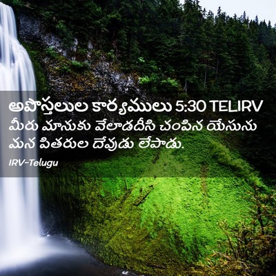 Picture 02 - అపొస్తలుల కార్యములు 5:30 TELIRV - మీరు మానుకు - Bible Verse Picture