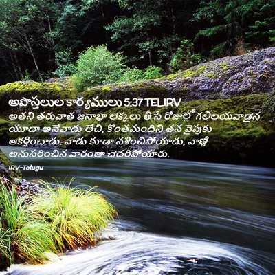 Picture 02 - అపొస్తలుల కార్యములు 5:37 TELIRV - అతని తరువాత జనాభా - Bible Verse Picture