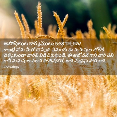Picture 02 - అపొస్తలుల కార్యములు 5:38 TELIRV - కాబట్టి నేను మీతో - Bible Verse Picture