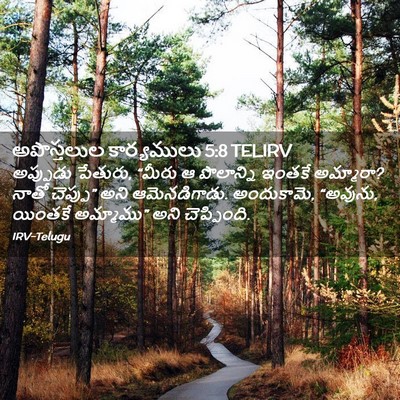 Picture 02 - అపొస్తలుల కార్యములు 5:8 TELIRV - అప్పుడు పేతురు, - Bible Verse Picture