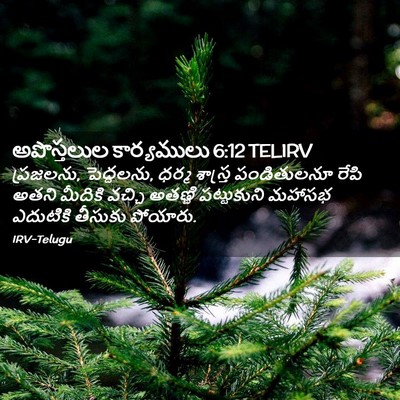 Picture 02 - అపొస్తలుల కార్యములు 6:12 TELIRV - ప్రజలను, పెద్దలను, - Bible Verse Picture