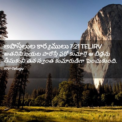 Picture 02 - అపొస్తలుల కార్యములు 7:21 TELIRV - అతనిని బయట - Bible Verse Picture