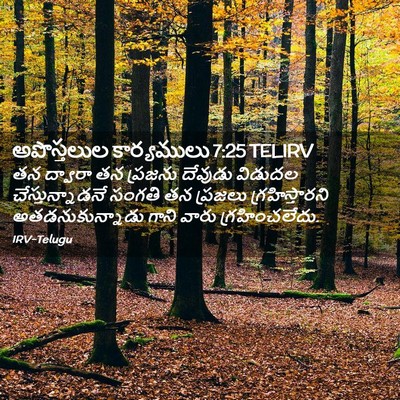 Picture 02 - అపొస్తలుల కార్యములు 7:25 TELIRV - తన ద్వారా తన - Bible Verse Picture