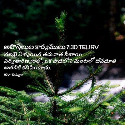 Picture 02 - అపొస్తలుల కార్యములు 7:30 TELIRV - నలభై ఏళ్ళయిన - Bible Verse Picture