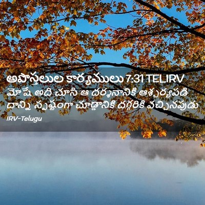 Picture 02 - అపొస్తలుల కార్యములు 7:31 TELIRV - మోషే అది చూసి ఆ - Bible Verse Picture