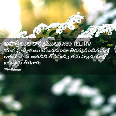 Picture 02 - అపొస్తలుల కార్యములు 7:39 TELIRV - “మన పూర్వీకులు - Bible Verse Picture