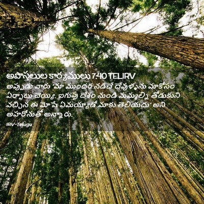 Picture 02 - అపొస్తలుల కార్యములు 7:40 TELIRV - అప్పుడు వారు ‘మా - Bible Verse Picture