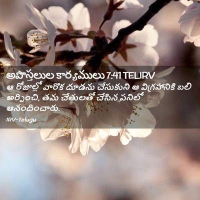 Picture 02 - అపొస్తలుల కార్యములు 7:41 TELIRV - ఆ రోజుల్లో వారొక - Bible Verse Picture