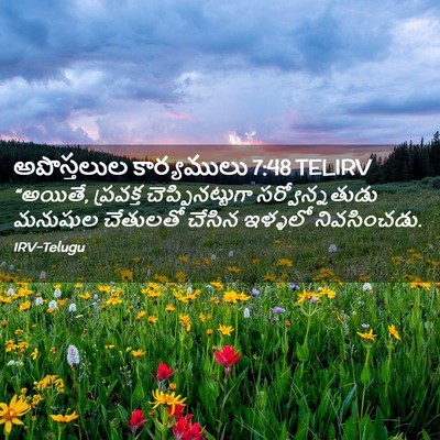Picture 02 - అపొస్తలుల కార్యములు 7:48 TELIRV - “అయితే, ప్రవక్త - Bible Verse Picture