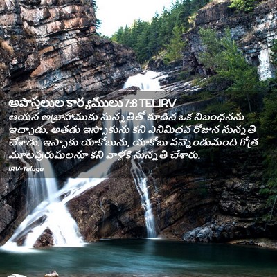 Picture 02 - అపొస్తలుల కార్యములు 7:8 TELIRV - ఆయన అబ్రాహాముకు - Bible Verse Picture
