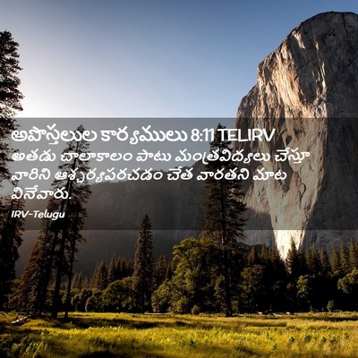 Picture 02 - అపొస్తలుల కార్యములు 8:11 TELIRV - అతడు చాలాకాలం - Bible Verse Picture