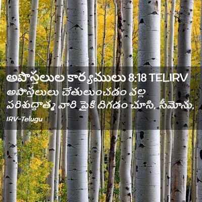 Picture 02 - అపొస్తలుల కార్యములు 8:18 TELIRV - అపొస్తలులు - Bible Verse Picture
