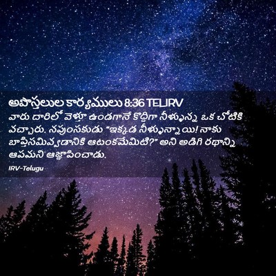 Picture 02 - అపొస్తలుల కార్యములు 8:36 TELIRV - వారు దారిలో - Bible Verse Picture