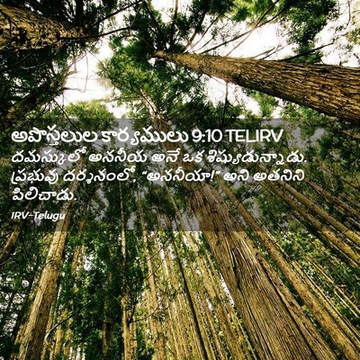 Picture 02 - అపొస్తలుల కార్యములు 9:10 TELIRV - దమస్కులో అననీయ - Bible Verse Picture