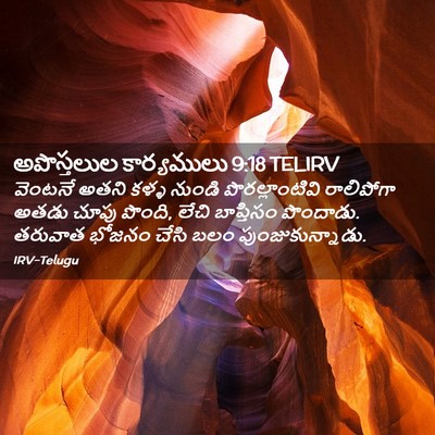 Picture 02 - అపొస్తలుల కార్యములు 9:18 TELIRV - వెంటనే అతని కళ్ళ - Bible Verse Picture