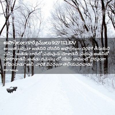 Picture 02 - అపొస్తలుల కార్యములు 9:27 TELIRV - అయితే బర్నబా - Bible Verse Picture