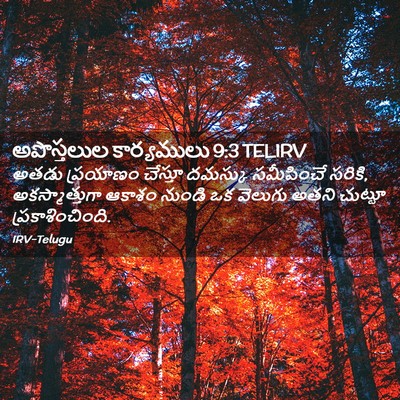 Picture 02 - అపొస్తలుల కార్యములు 9:3 TELIRV - అతడు ప్రయాణం - Bible Verse Picture