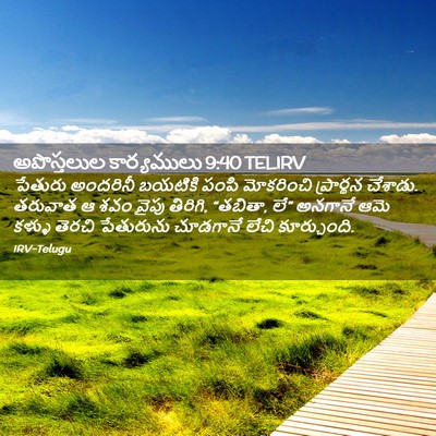 Picture 02 - అపొస్తలుల కార్యములు 9:40 TELIRV - పేతురు అందరినీ - Bible Verse Picture