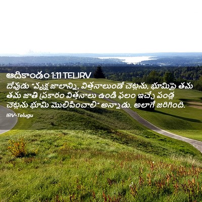 Picture 02 - ఆదికాండం 1:11 TELIRV - దేవుడు “వృక్ష - Bible Verse Picture