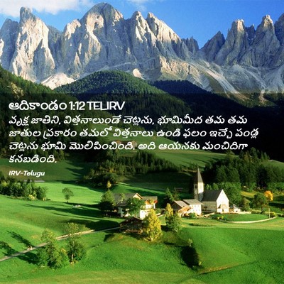 Picture 02 - ఆదికాండం 1:12 TELIRV - వృక్ష జాతిని, - Bible Verse Picture