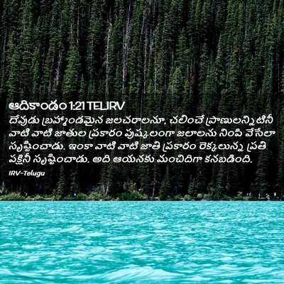 Picture 02 - ఆదికాండం 1:21 TELIRV - దేవుడు - Bible Verse Picture