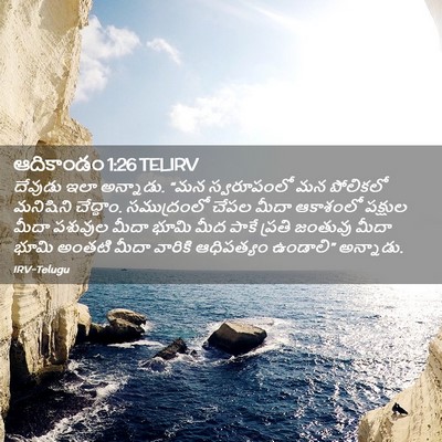 Picture 02 - ఆదికాండం 1:26 TELIRV - దేవుడు ఇలా - Bible Verse Picture