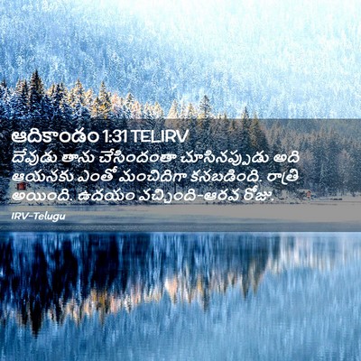 Picture 02 - ఆదికాండం 1:31 TELIRV - దేవుడు తాను - Bible Verse Picture