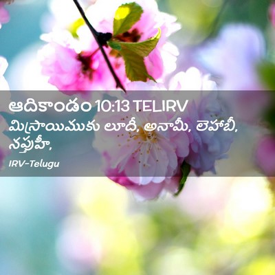 Picture 02 - ఆదికాండం 10:13 TELIRV - మిస్రాయిముకు - Bible Verse Picture