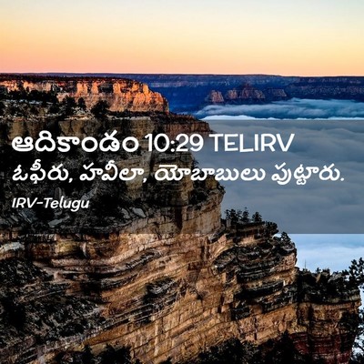 Picture 02 - ఆదికాండం 10:29 TELIRV - ఓఫీరు, హవీలా, - Bible Verse Picture
