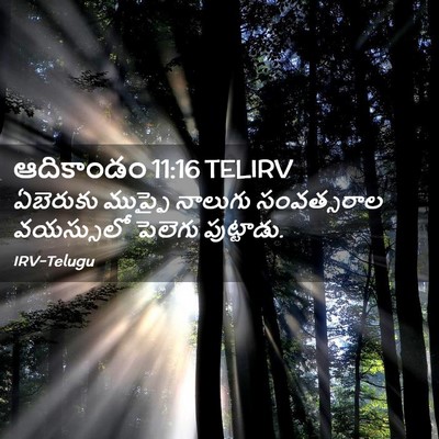 Picture 02 - ఆదికాండం 11:16 TELIRV - ఏబెరుకు ముప్ఫై - Bible Verse Picture