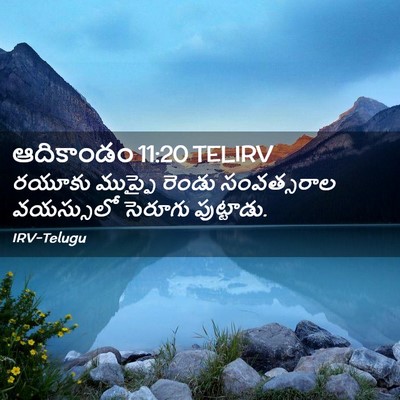 Picture 02 - ఆదికాండం 11:20 TELIRV - రయూకు ముప్ఫై - Bible Verse Picture