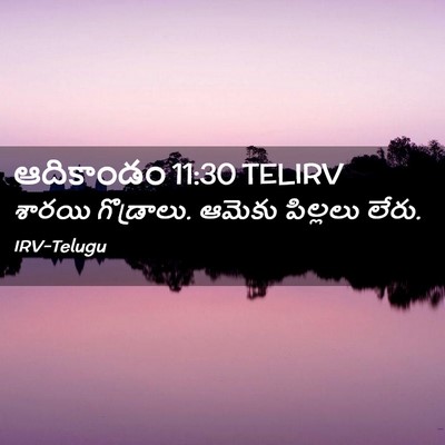 Picture 02 - ఆదికాండం 11:30 TELIRV - శారయి గొడ్రాలు. - Bible Verse Picture