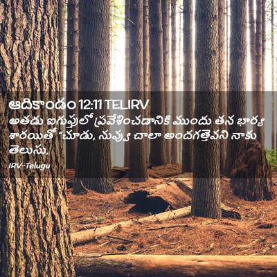 Picture 02 - ఆదికాండం 12:11 TELIRV - అతడు ఐగుప్తులో - Bible Verse Picture