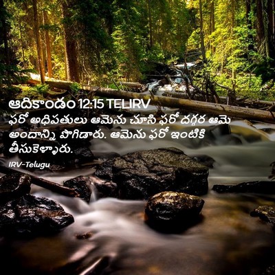 Picture 02 - ఆదికాండం 12:15 TELIRV - ఫరో అధిపతులు - Bible Verse Picture