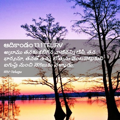 Picture 02 - ఆదికాండం 13:1 TELIRV - అబ్రాము తనకు - Bible Verse Picture