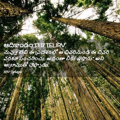 Picture 02 - ఆదికాండం 13:17 TELIRV - నువ్వు లేచి ఈ - Bible Verse Picture