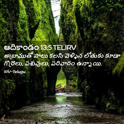 Picture 02 - ఆదికాండం 13:5 TELIRV - అబ్రాముతో పాటు - Bible Verse Picture