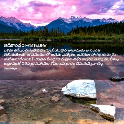 Picture 02 - ఆదికాండం 14:13 TELIRV - ఒకడు తప్పించుకుని - Bible Verse Picture