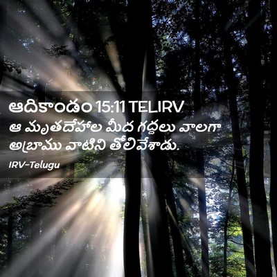 Picture 02 - ఆదికాండం 15:11 TELIRV - ఆ మృతదేహాల మీద - Bible Verse Picture
