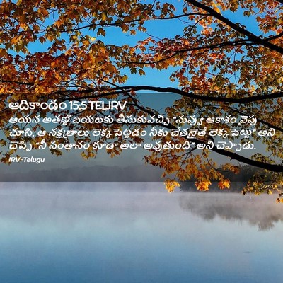 Picture 02 - ఆదికాండం 15:5 TELIRV - ఆయన అతణ్ణి బయటకు - Bible Verse Picture