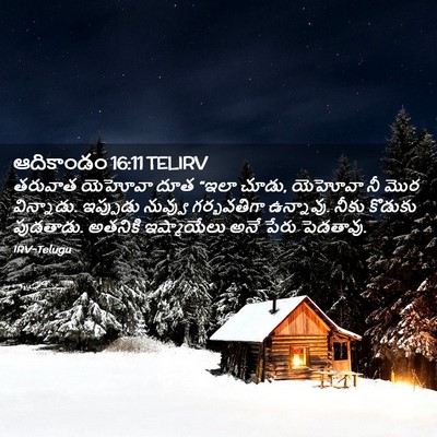 Picture 02 - ఆదికాండం 16:11 TELIRV - తరువాత యెహోవా దూత - Bible Verse Picture