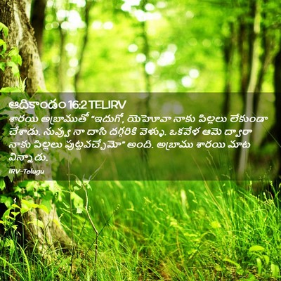 Picture 02 - ఆదికాండం 16:2 TELIRV - శారయి అబ్రాముతో - Bible Verse Picture