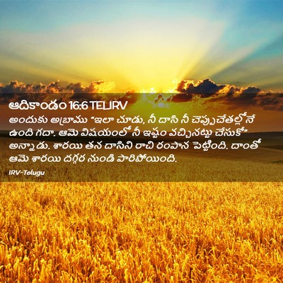 Picture 02 - ఆదికాండం 16:6 TELIRV - అందుకు అబ్రాము - Bible Verse Picture