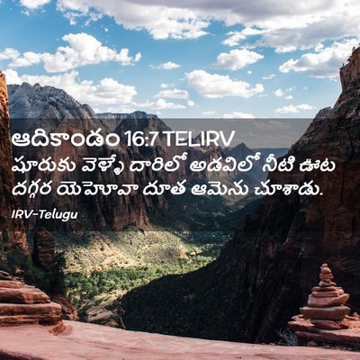 Picture 02 - ఆదికాండం 16:7 TELIRV - షూరుకు వెళ్ళే - Bible Verse Picture