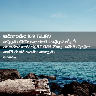 Picture 02 - ఆదికాండం 16:9 TELIRV - అప్పుడు యెహోవా - Bible Verse Picture
